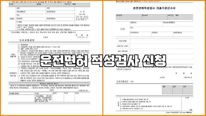 운전면허 적성검사 신청